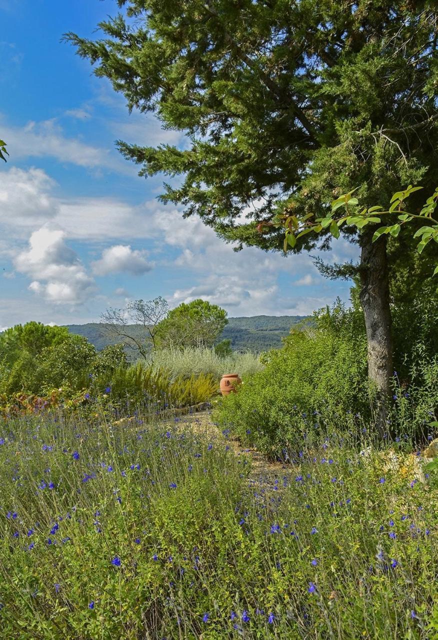 Il Verreno Bucine Dış mekan fotoğraf